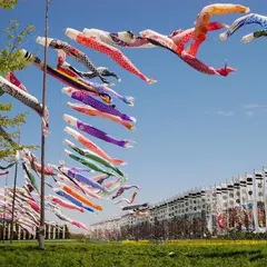 那須ハートフルファーム 菜の花畑 ひまわり畑 愛込