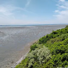 木更津海岸潮干狩場