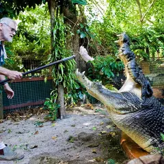 Marineland Melanesia - Crocodile Habitat & Gift Shop