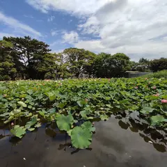 桜小路公園