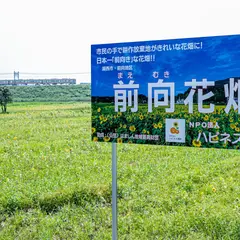 日本一前向きな花畑！前向花畑