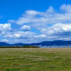 芝生広場（ハスの見える丘）