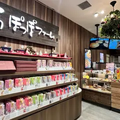 らぽっぽファーム心斎橋店