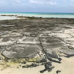 奥武島の畳石
