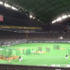 札幌ドーム
