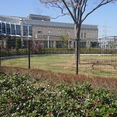 浦安公園ドッグラン