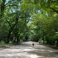 糺ノ森