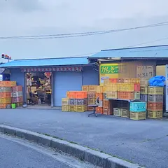 かんきつ屋
