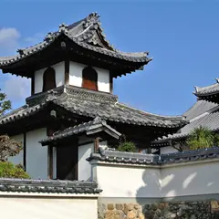 光遍寺