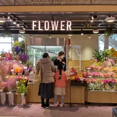 ブランデ 研究学園店