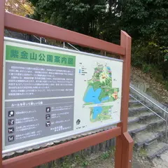 紫金山公園