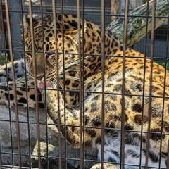 もうじゅう館