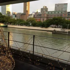 スミレ　オオサカ