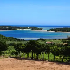 石垣島