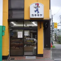 カネキヤ