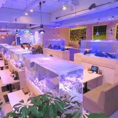 aquarium dining サカナノセカイ