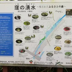 窪の湧水