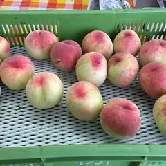 富玉園