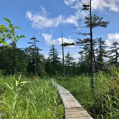 デコ平湿原