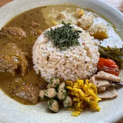 本と玄米カレー ヨスカ