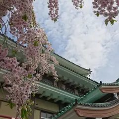 西本願寺北海道教区教務所