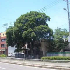 松虫塚