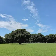 館林城ゆめひろば
