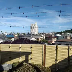 魚眠庵マルキ本館
