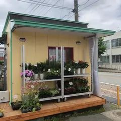ドジャース 男鹿店
