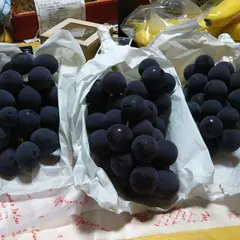 原茂之巨峰園