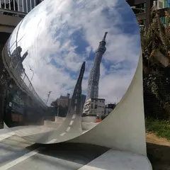 Reflect scape