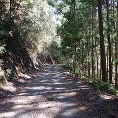 熊野古道中辺路（赤木越）（発心門王子～湯の峰温泉）