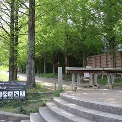 トーベ・ヤンソンあけぼの子どもの森 公園入口