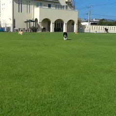 エルエー・ドッグスポーツフィールド