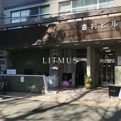 LITMUS