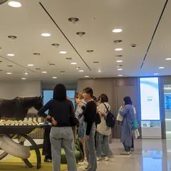 TAMBURINS Lotte Dept. store
