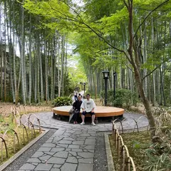 竹林の小径