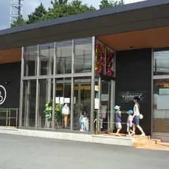 ブルーベリー御殿場店
