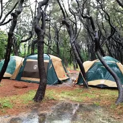 茅ヶ崎市柳島キャンプ場