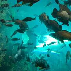上越市立水族博物館 うみがたり（旧：上越市立水族博物館）