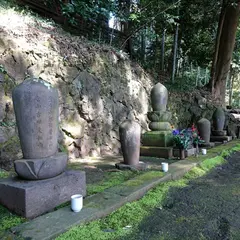 竹採公園