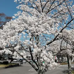 釈迦堂川