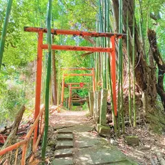 白高大神