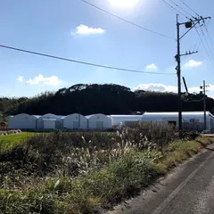 ㈱なかはら 陸上養殖場