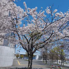 札幌市産業振興センター