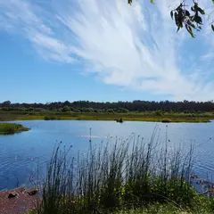 ヤンチャップ国立公園