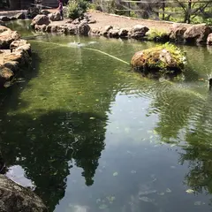 やまめの里みつの