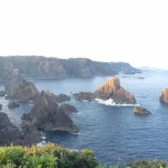 海金剛