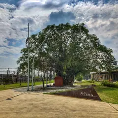 新営鉄道地景公園