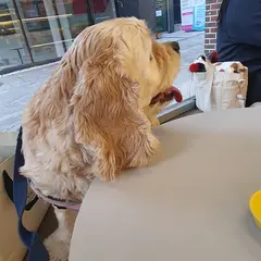 CAFE BITE ME